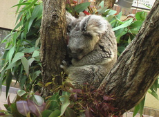 fWr 542.jpg