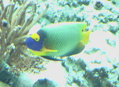 IMGA0233.JPG