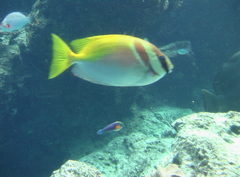 IMGA0241.JPG