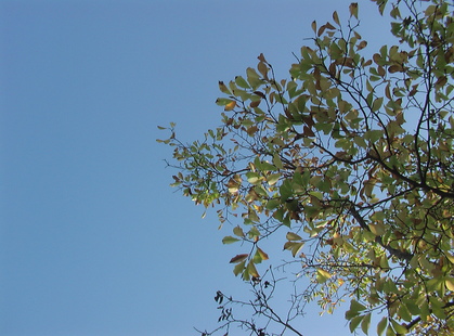 IMGA05780.JPG