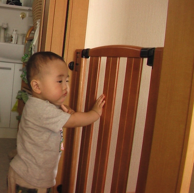IMGA065200.JPG
