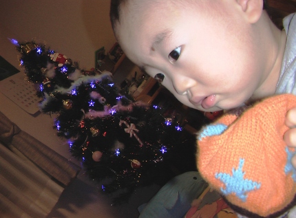 IMGA07250.JPG