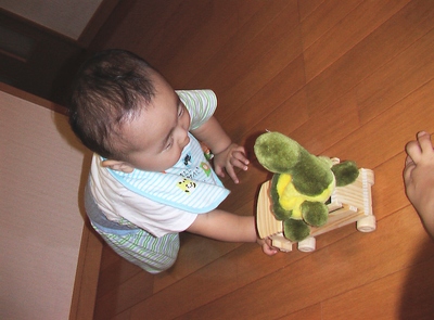 IMGA083101.JPG