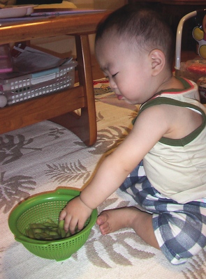 IMGA08340.JPG