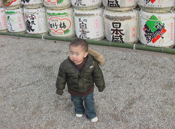 IMGA08491.JPG