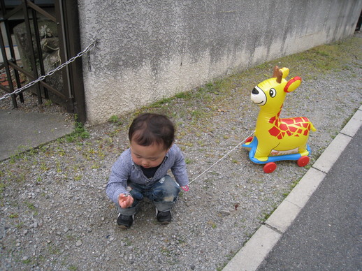 IMG_1415.JPG
