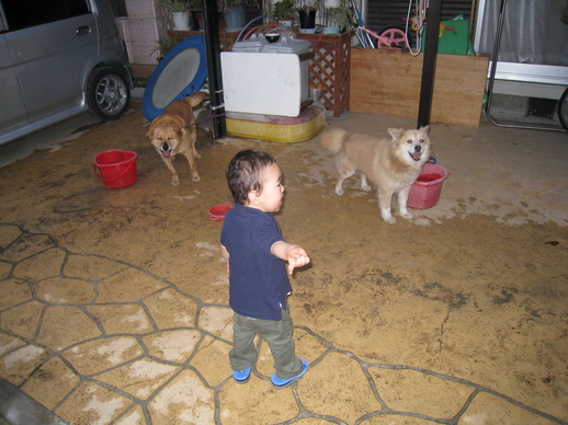 IMG_1705.JPG