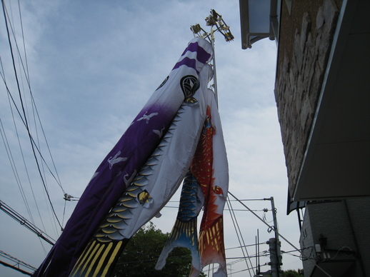 IMG_1750.JPG