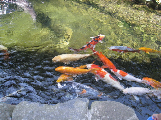 IMG_3124.JPG