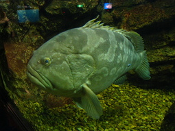 IMG_3239.JPG